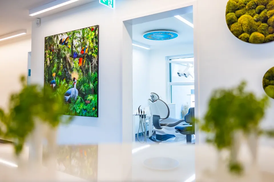 Blick durch Pflanzen in ein Behandlungszimmer