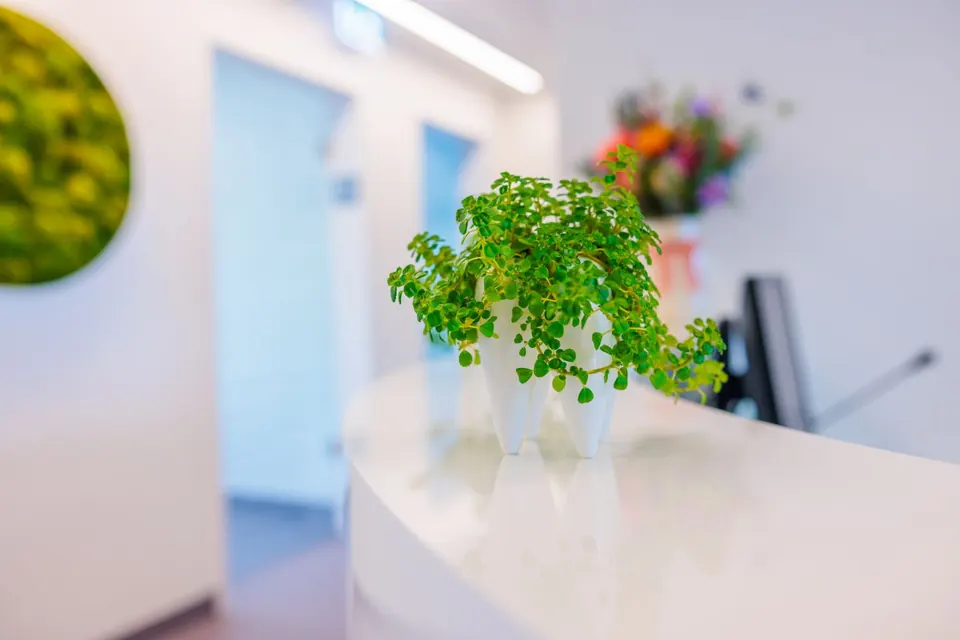 Heller Empfangstresen mit Pflanze, dahinter Blumen und Moos an der Wand