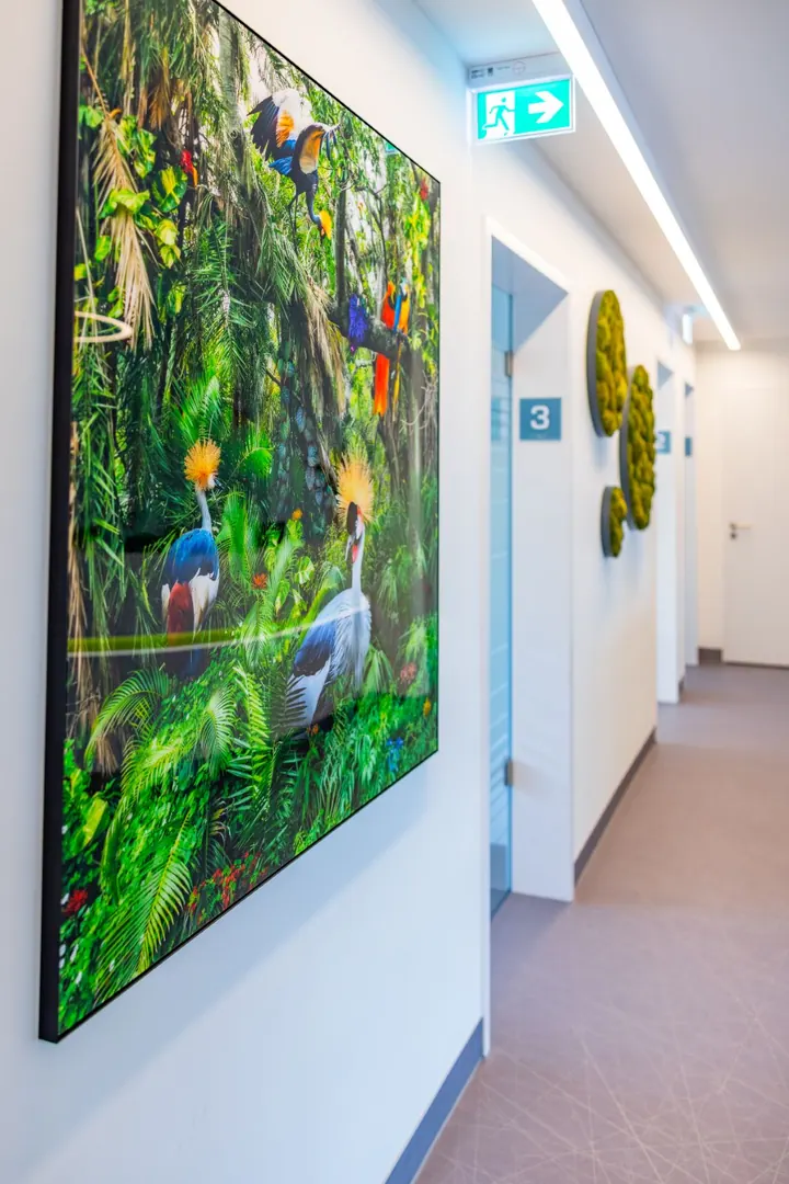 Flur mit großem Dschungelbild und Moos an der Wand